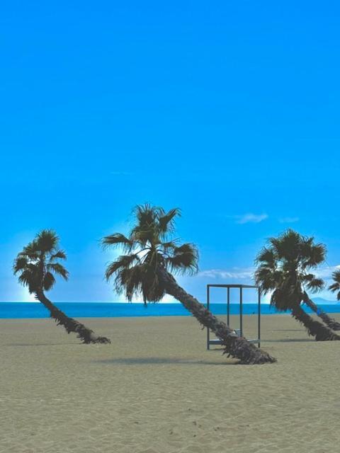Appartement 4 Personnes Piscine 300 Plage 4Pb287 Le Barcarès Eksteriør billede